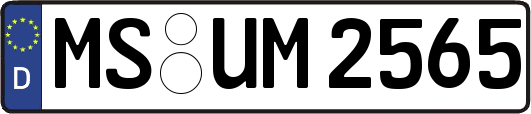 MS-UM2565