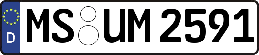 MS-UM2591