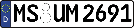 MS-UM2691