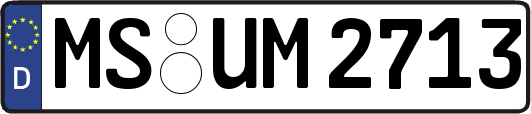 MS-UM2713