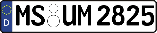 MS-UM2825