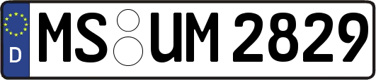 MS-UM2829