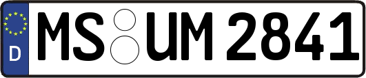 MS-UM2841