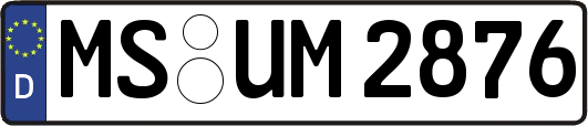 MS-UM2876