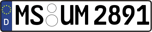 MS-UM2891
