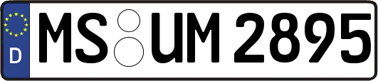 MS-UM2895