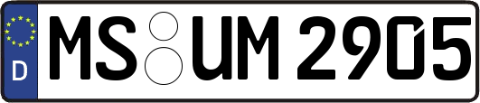 MS-UM2905