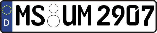 MS-UM2907