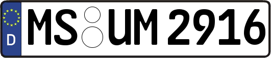 MS-UM2916