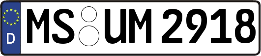 MS-UM2918
