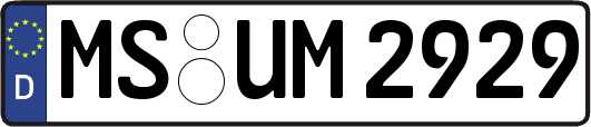 MS-UM2929