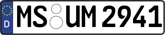 MS-UM2941