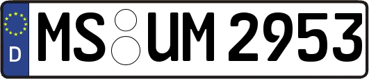 MS-UM2953