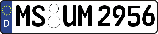 MS-UM2956