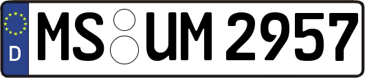 MS-UM2957