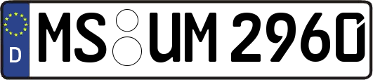 MS-UM2960
