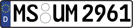 MS-UM2961