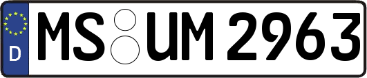 MS-UM2963
