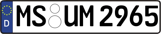 MS-UM2965