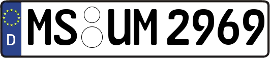 MS-UM2969