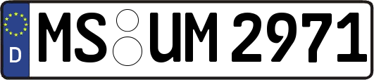 MS-UM2971