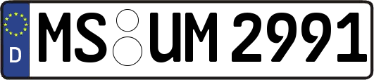 MS-UM2991