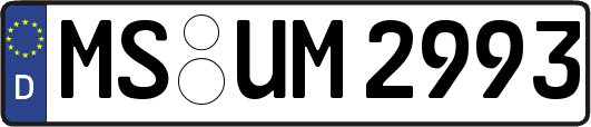 MS-UM2993