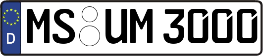 MS-UM3000