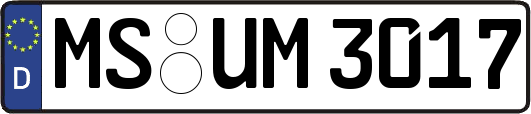 MS-UM3017
