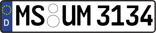 MS-UM3134