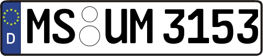 MS-UM3153
