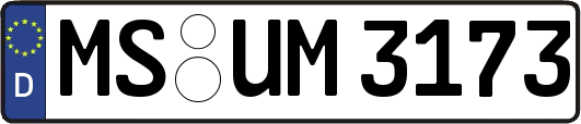 MS-UM3173