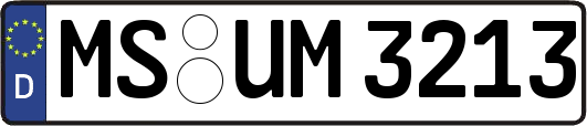 MS-UM3213