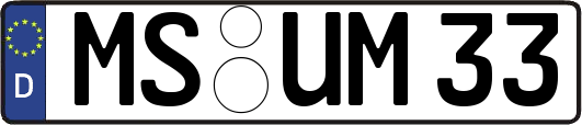 MS-UM33