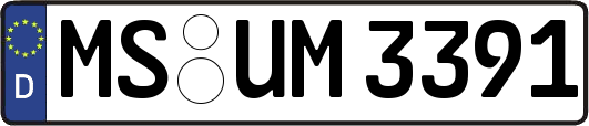 MS-UM3391