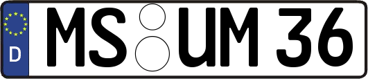 MS-UM36