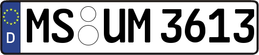 MS-UM3613