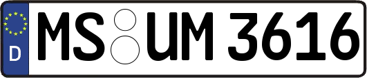MS-UM3616