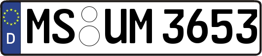 MS-UM3653