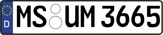 MS-UM3665