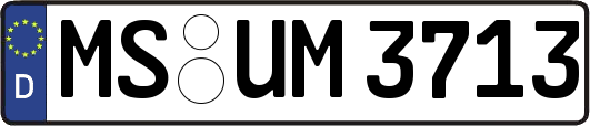 MS-UM3713