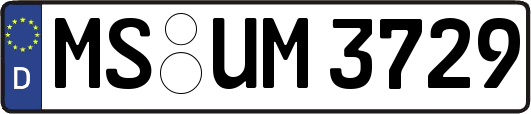 MS-UM3729