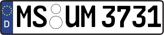 MS-UM3731