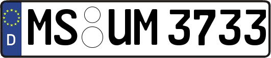 MS-UM3733