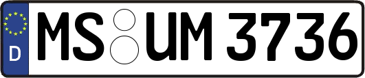 MS-UM3736