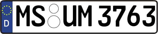 MS-UM3763
