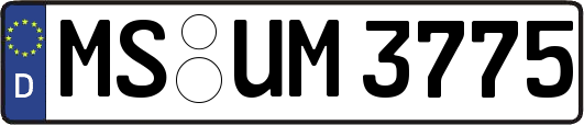 MS-UM3775