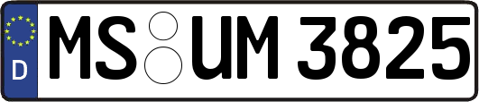 MS-UM3825