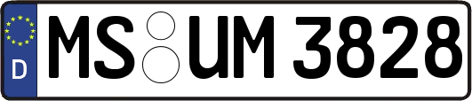 MS-UM3828