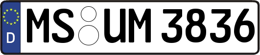 MS-UM3836